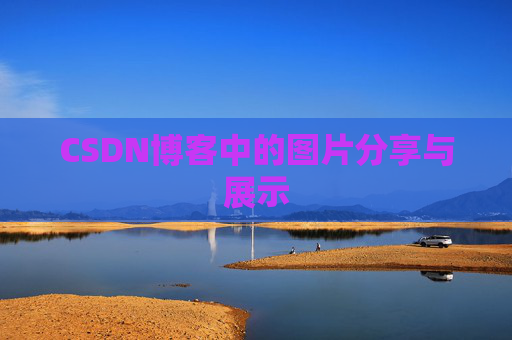 CSDN博客中的图片分享与展示