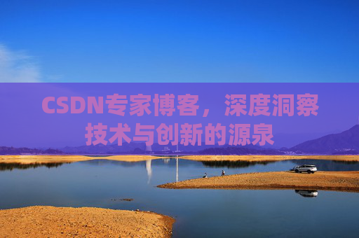 CSDN专家博客，深度洞察技术与创新的源泉